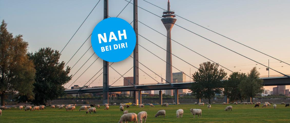 ASG - Nah bei dir