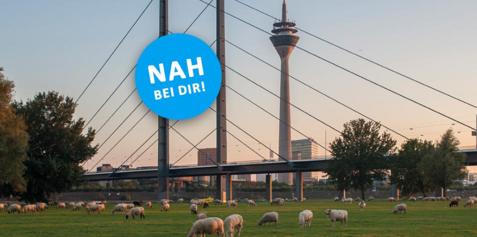 ASG - Nah bei dir