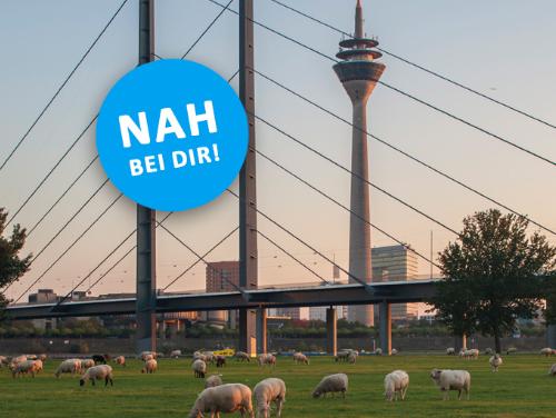 ASG - Nah bei dir