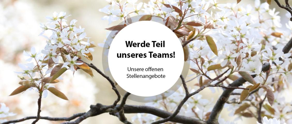 Unsere offenen Stellenangebote / Jobs