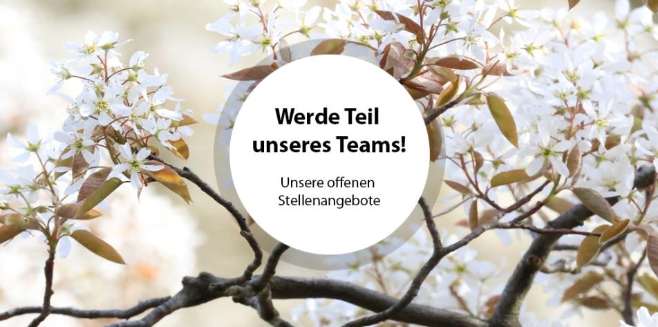 Unsere offenen Stellenangebote / Jobs