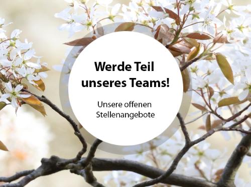 Unsere offenen Stellenangebote / Jobs