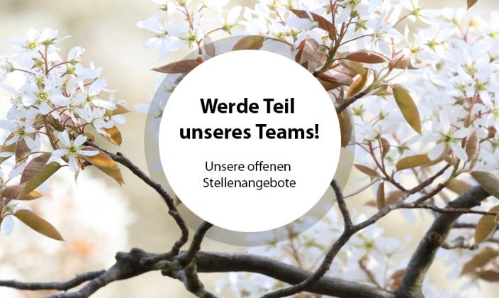 Unsere offenen Stellenangebote / Jobs