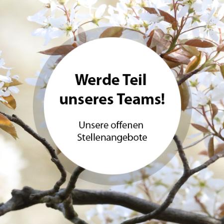 Unsere offenen Stellenangebote / Jobs