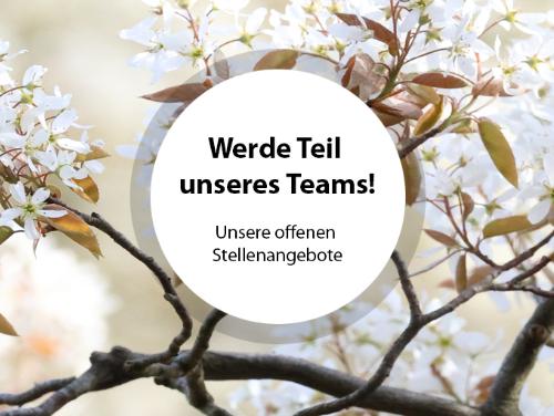 Unsere offenen Stellenangebote / Jobs